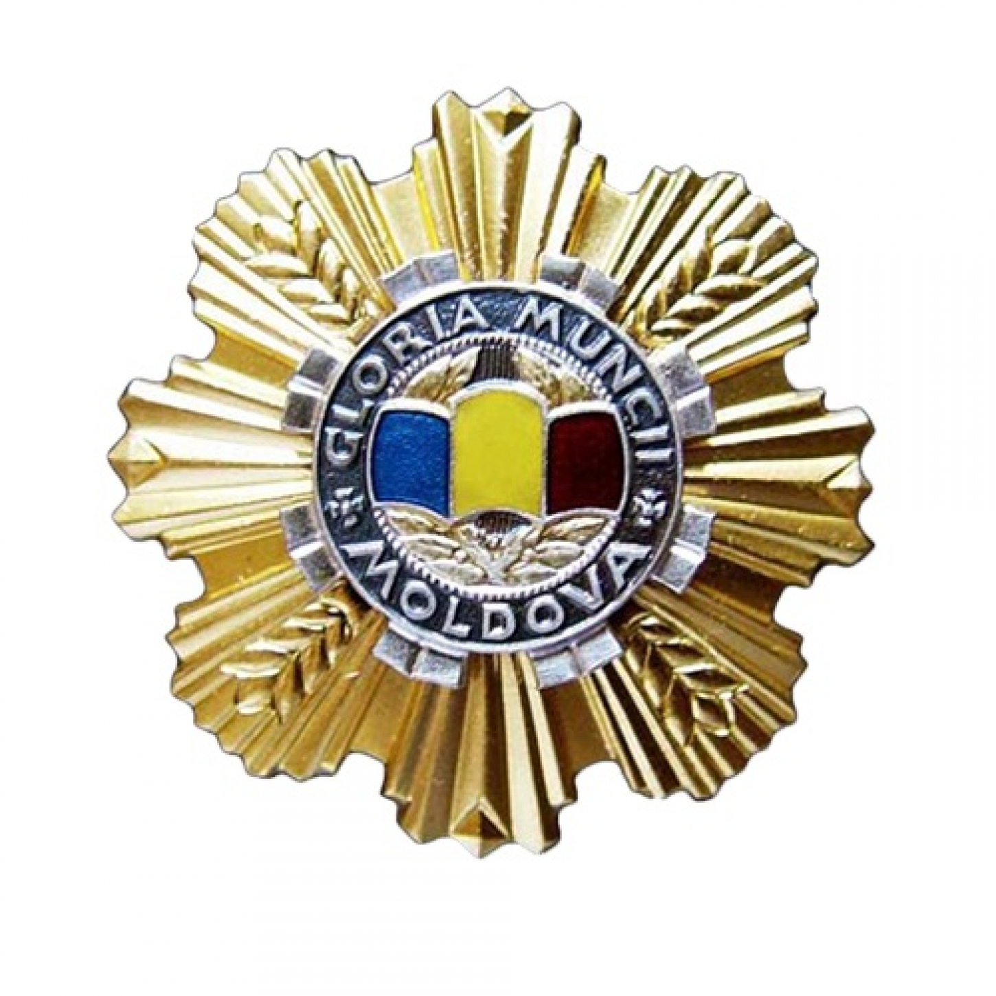 blog image